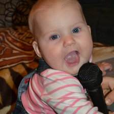 Схема вышивки «paulina»