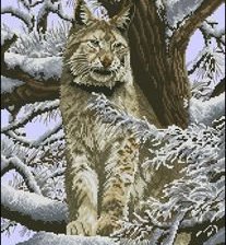 Схема вышивки «рысь»