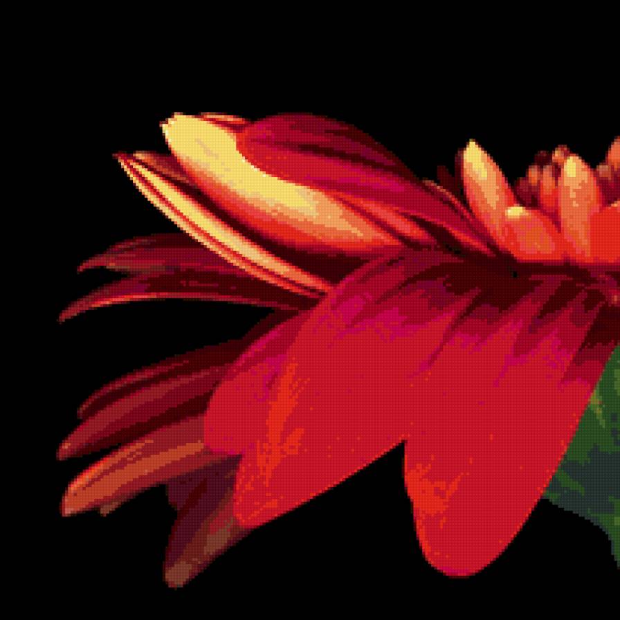 интерьер - цветы, дом - предпросмотр