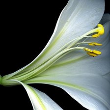 Схема вышивки «интерьер»