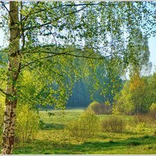 Схема вышивки «№363373»