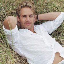 Схема вышивки «Форсаж»