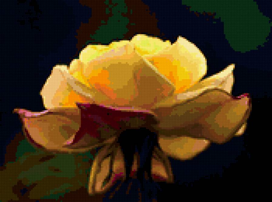 роза - роза, цветок, розы, цветы - предпросмотр