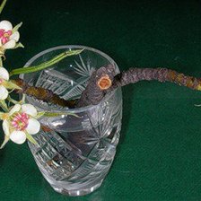 Схема вышивки «Грушевый цвет»