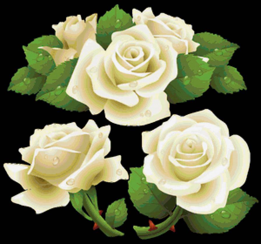 розы - цветы, подушка, роза, розы, на черном, капли, цветок - предпросмотр