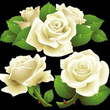 Схема вышивки «розы»