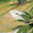 Предпросмотр схемы вышивки «Голуби» (№363408)