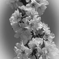 №363430 - оригинал