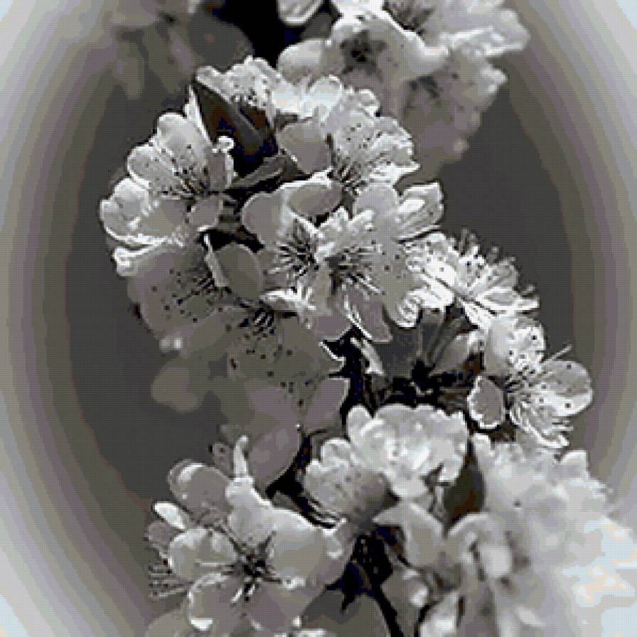 №363430 - предпросмотр