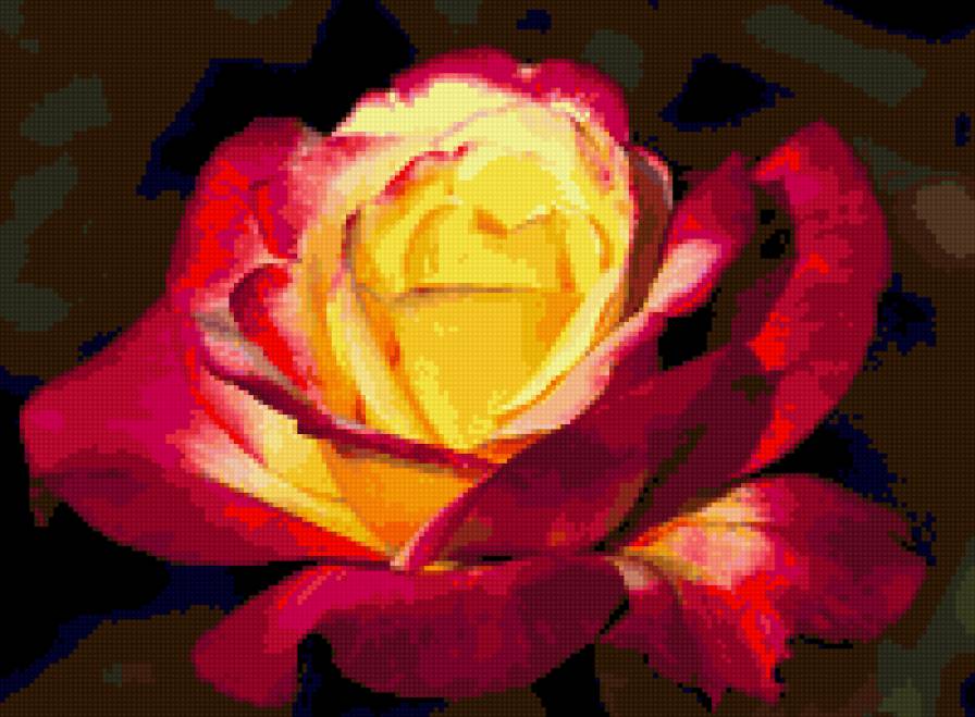 роза - розы, цветы, цветок, роза - предпросмотр