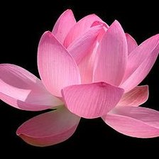 Схема вышивки «цветок»