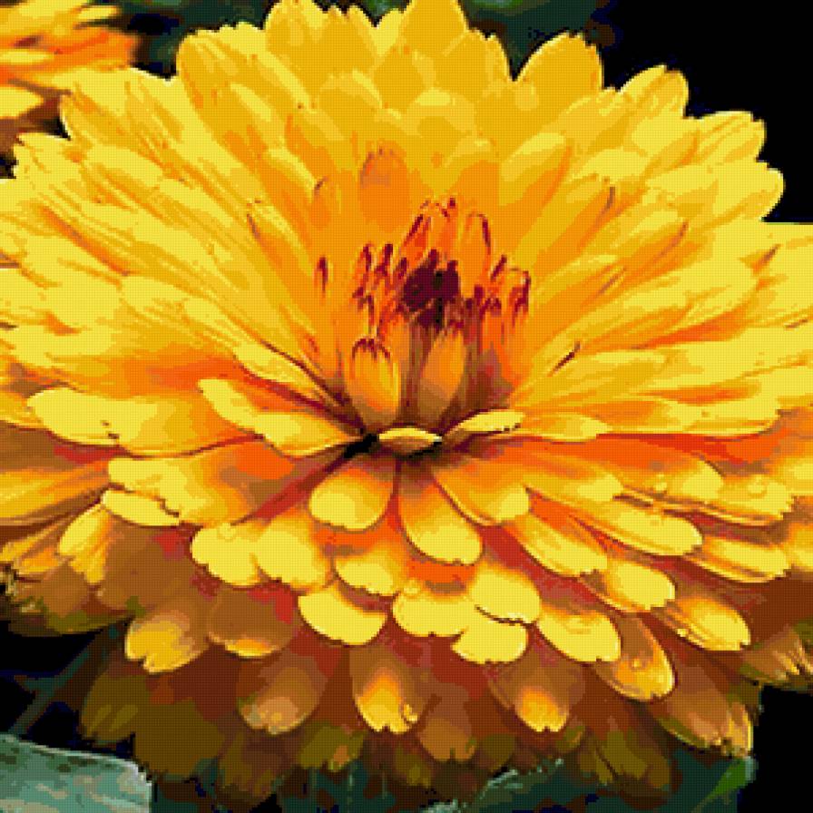 цветок - предпросмотр