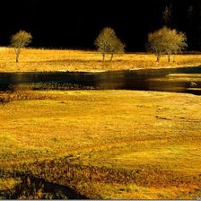 Схема вышивки «№363546»