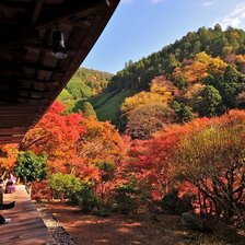 Схема вышивки «№363547»