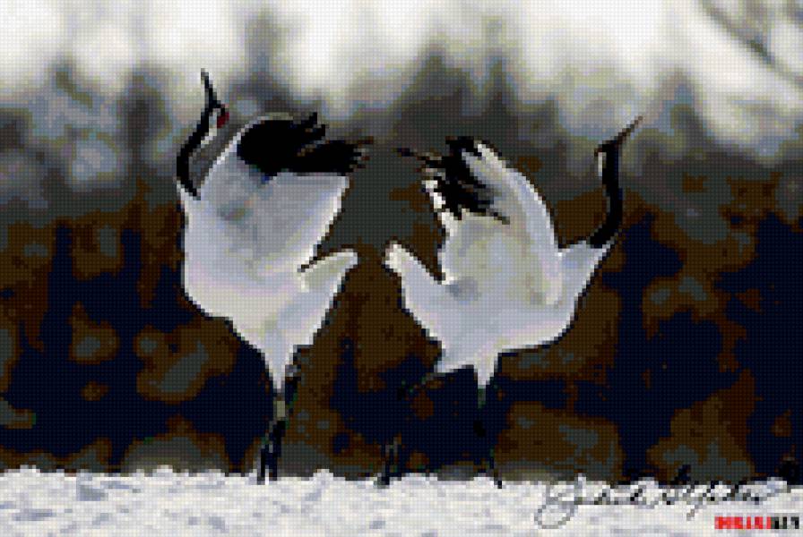 Журавли - предпросмотр