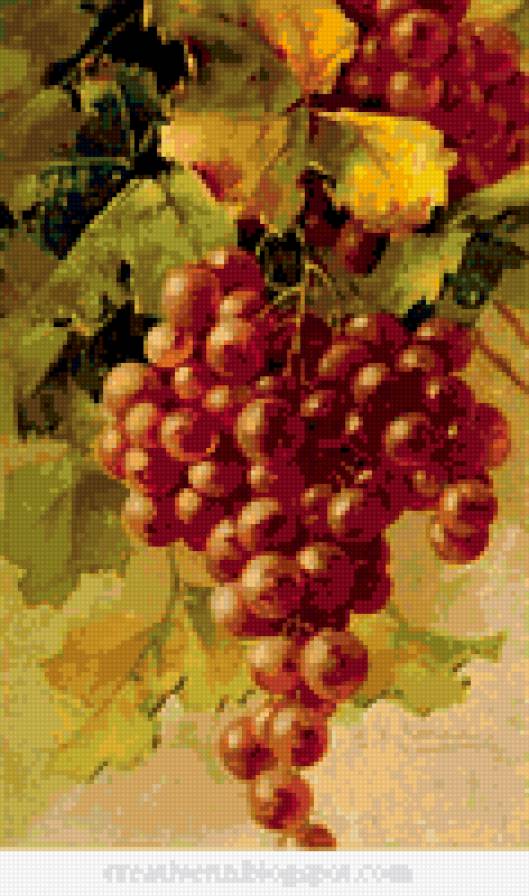 виноград - фрукты, виноград, ветка - предпросмотр