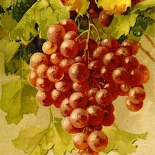 Схема вышивки «виноград»