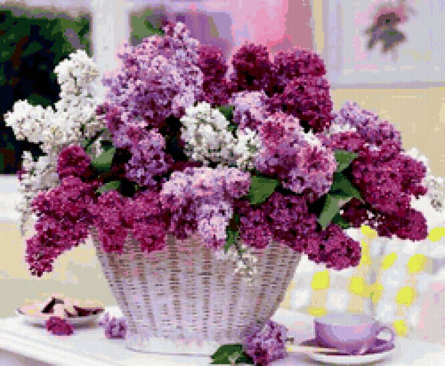 букет сирени - сирень, растение, цветок - предпросмотр