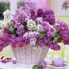 букет сирени