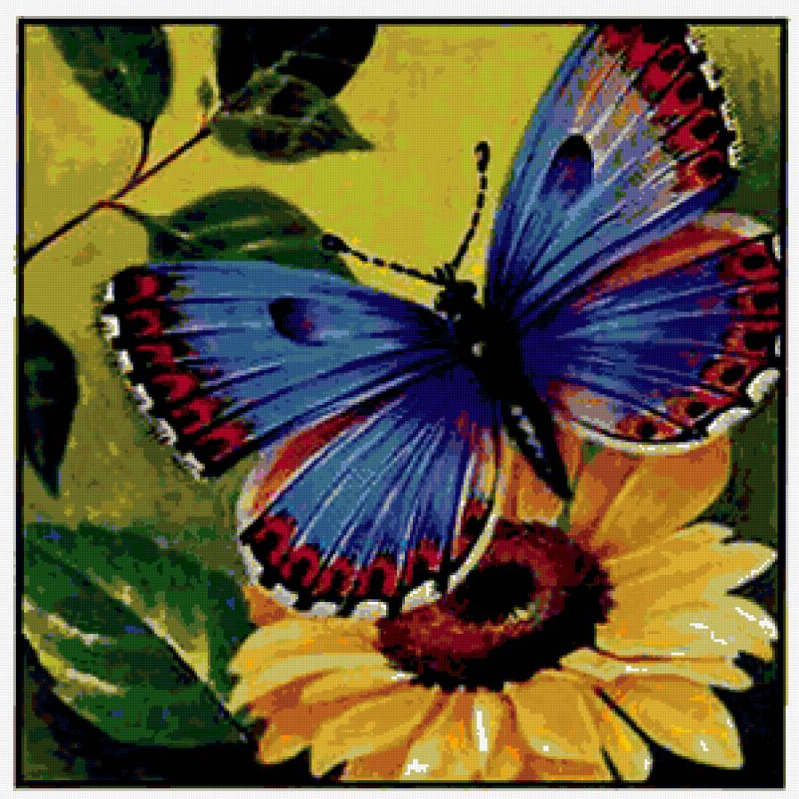 бабочка 1 - подсолнух, бабочка, цветы - предпросмотр