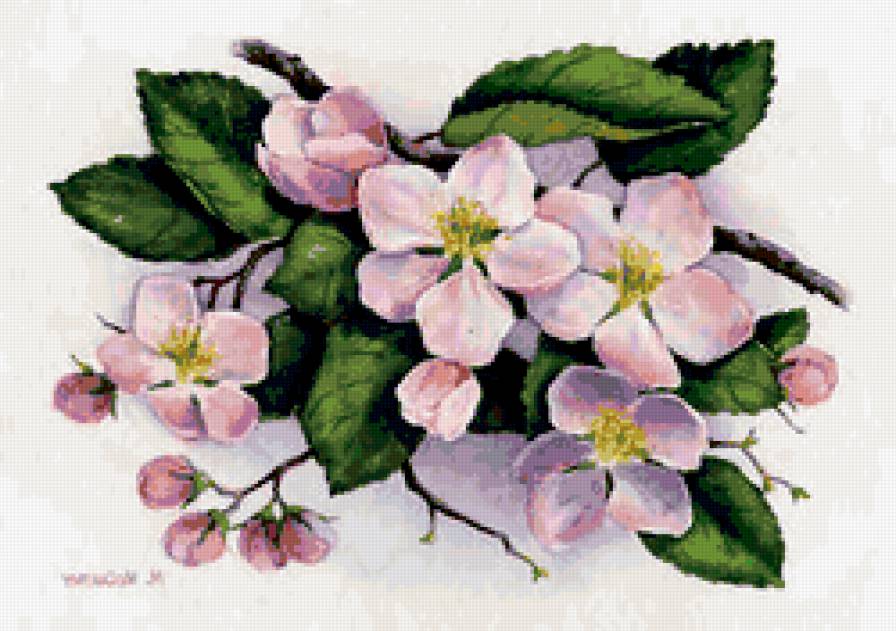 ветка сакуры 1 - цветы, весна, восток - предпросмотр