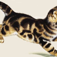 Схема вышивки «кот»