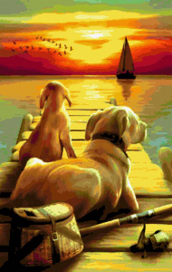 закат - животные - предпросмотр