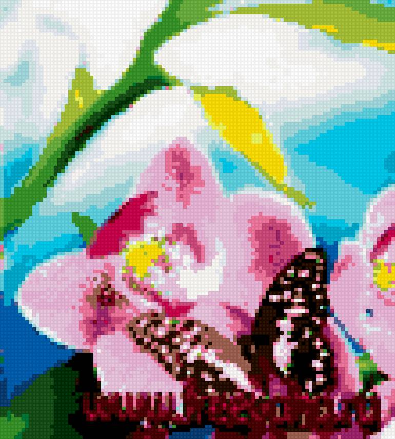 Бабочка на цветке - лето, бабочка, цветы - предпросмотр