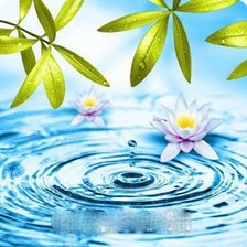 Схема вышивки «лотос»