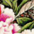Предпросмотр схемы вышивки «пионы» (№363805)
