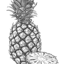 Схема вышивки «ананас»