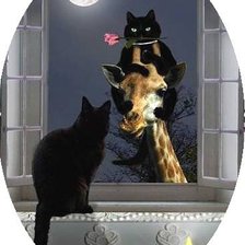 Схема вышивки «№363899»