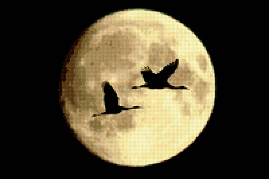 полнолуние - журавли, луна - предпросмотр