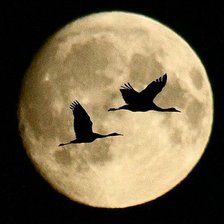 Схема вышивки «полнолуние»