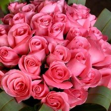 Схема вышивки «№363980»