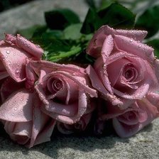 Схема вышивки «№363990»