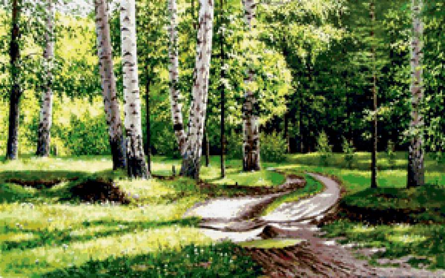 Пейзаж, лес, березы - пейзаж, березы, лес - предпросмотр