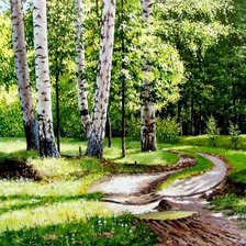 Пейзаж, лес, березы