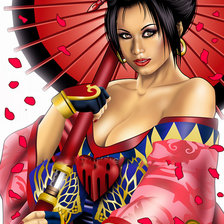 Схема вышивки «гейша»