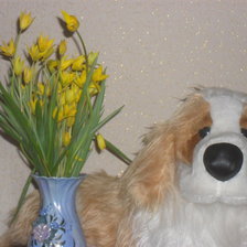 собака с букетом