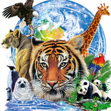 Схема вышивки «животные и птицы»