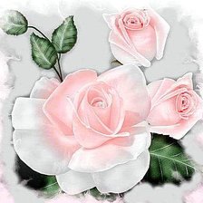 Схема вышивки «Нежная роза»