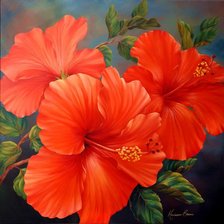 Схема вышивки «гибискус»