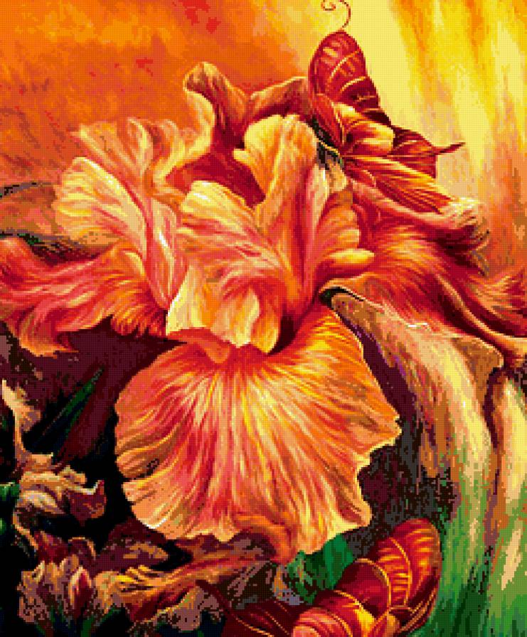 Ирис - цветы - предпросмотр