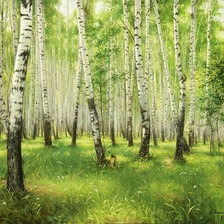 Схема вышивки «березовая роща»