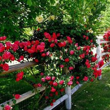 Схема вышивки «цветы»