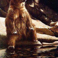 Присел отдохнуть