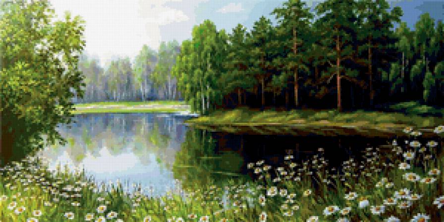 ромашки у озера - лето, природа, вода, деревья, цветы - предпросмотр