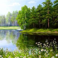 Схема вышивки «ромашки у озера»