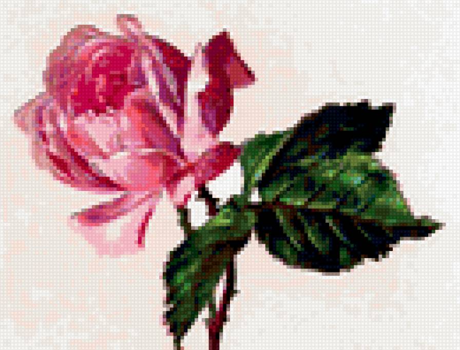 для открыт - предпросмотр